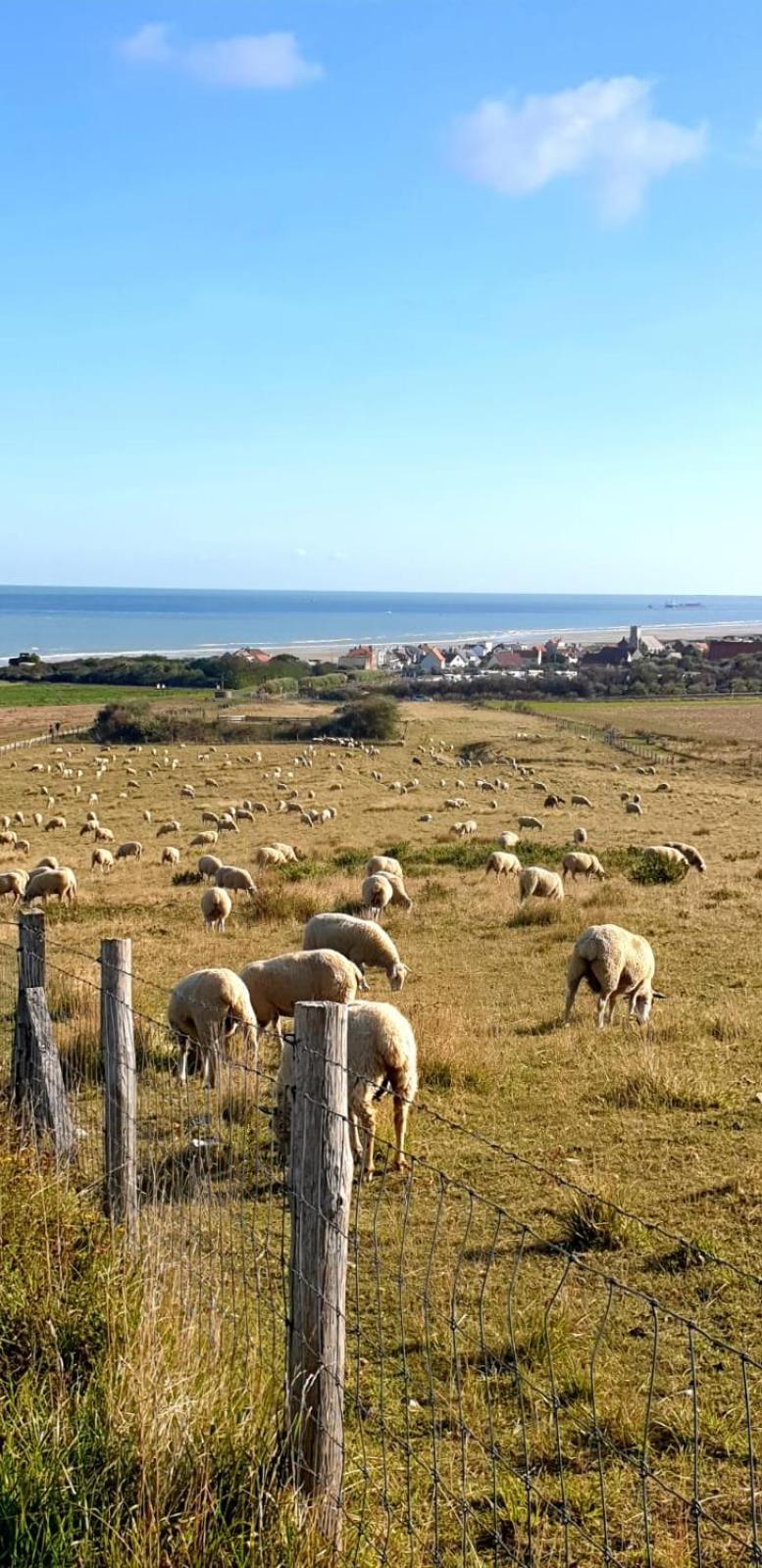 Ferienwohnung Au Kaycedra Calais Exterior foto